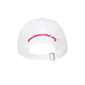 Gun Sense Voter Hat